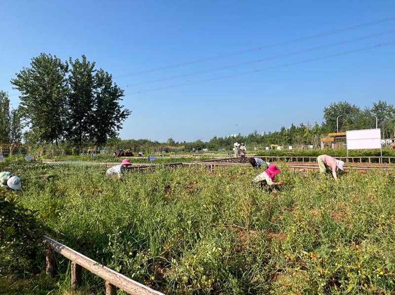 绿色农业引领未来：生态农业公司的崛起